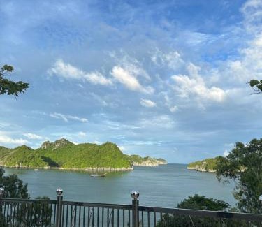 Cat Hai Hotel | Cat Ba Plaza Hotel