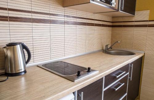 Petrovskoye Apartment | Central Studio Tatiana