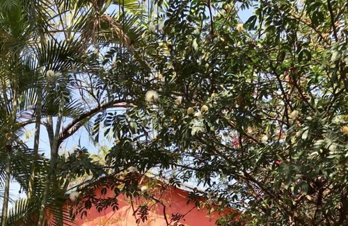 Sao Pedro House | Chacará with swimming pool, soccer field, orchard and barbecue