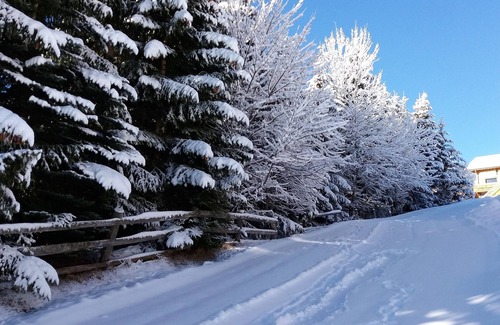 La Toussuire Ski Chalet | CHALET 8 PEOPLE 80 M2 GROUND FLOOR AT THE FOOT OF THE SLOPES