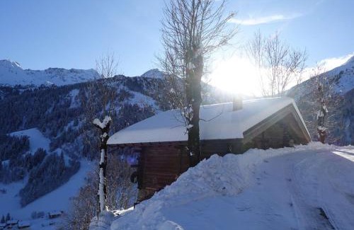 Beaufort Ski Chalet | Chalet 3 pièces, 6 pers, 2 km des pistes, plein sud, internet - FR-1-342-158