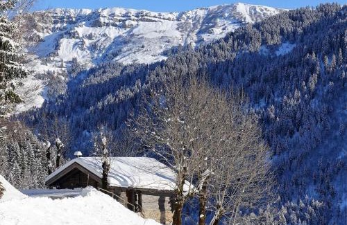 Beaufort Ski Chalet | Chalet 3 pièces, 6 pers, 2 km des pistes, plein sud, internet - FR-1-342-158