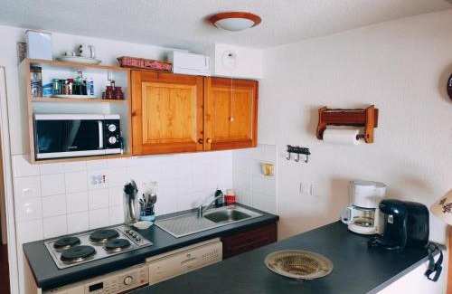 La Joue du Loup Ski Chalet | Chalet 3 pièces, 8 pers, cuisine équipée, TV, parking - FR-1-504-679