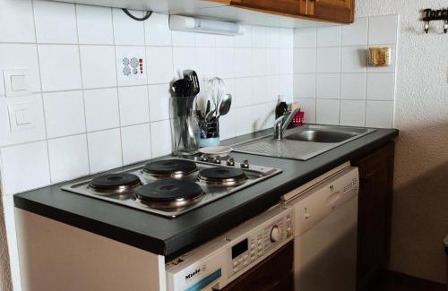 La Joue du Loup Ski Chalet | Chalet 3 pièces, 8 pers, cuisine équipée, TV, parking - FR-1-504-679