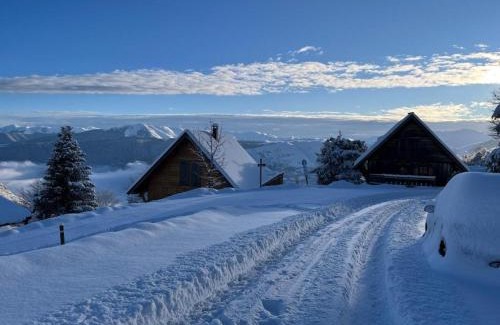 Saint-Lary-Soulan Ski Chalet | Chalet 6-8 pers St Lary Alt1700m -100mdespistes classé 4 étoiles