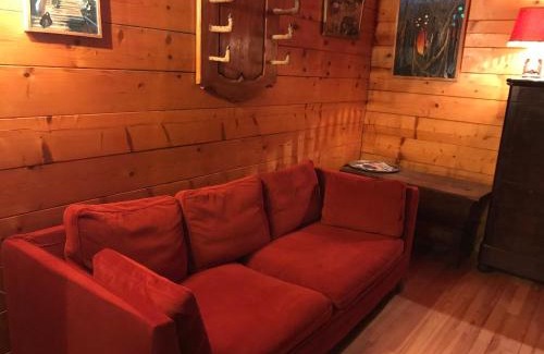 Besse-et-Saint-Anastaise Ski Chalet | Chalet atypique près des pistes, 9 pers., sculptures uniques - FR-1-814-49