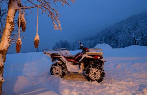 Tschagguns Ski Chalet | Chalet Berghaus Manuaf