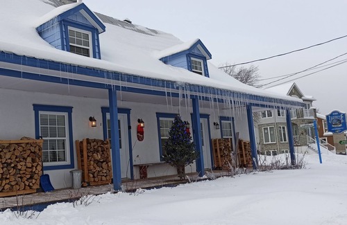 Saint Ferreol les Neiges Ski Chalet | CHALET CLOSE TO MONT SAINTE ANNE (BECASSINE)