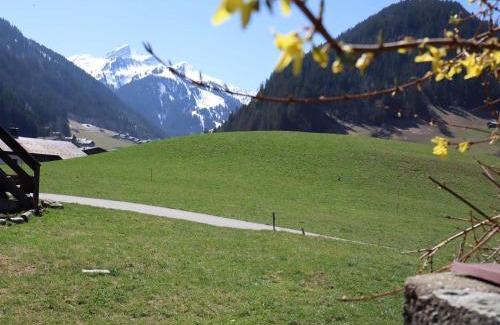Beaufort Ski Chalet | Chalet calme et récent à Arêches-Beaufort, 8 pers, exposé sud, terrasse ensoleillée, proche du village - FR-1-342-208