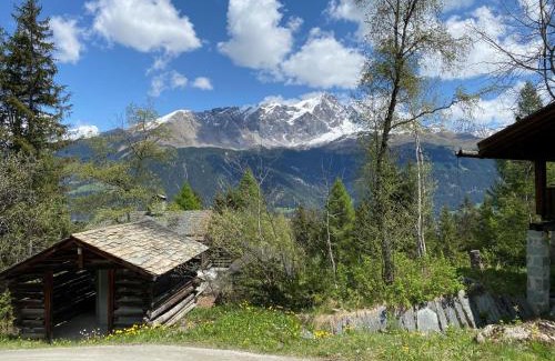 Riom-Parsonz Ski Chalet | Chalet Chalet Rodas 9 by Interhome