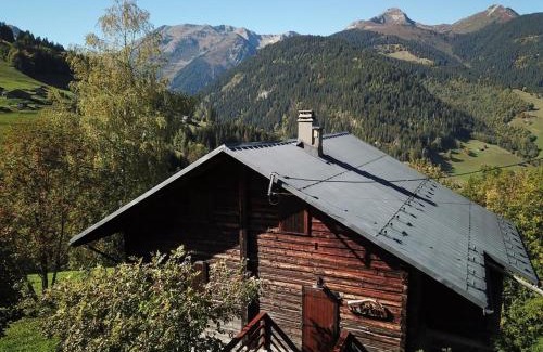 Beaufort Ski Chalet | Chalet chaleureux pour 10 personnes avec cheminée et internet, proche des pistes - FR-1-342-224