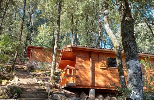 Calenzana Ski Chalet | Chalet de Location au Cœur de la Forêt. Randonnées Entre Rivière et Montagne