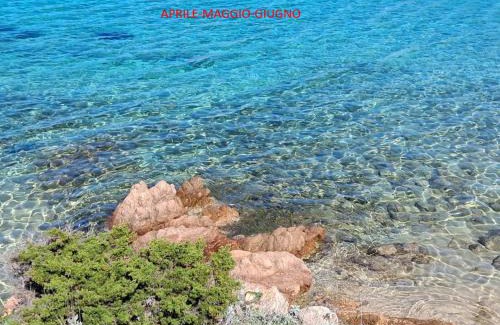 La Maddalena House | Chalet di campagna - da Aurora