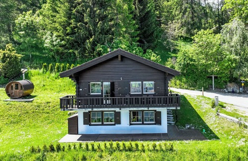 Nendaz House | Chalet Didi by Interhome