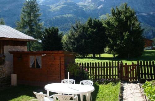 Pralognan-la-Vanoise Ski Chalet | Chalet ensoleillé 3 pièces, 6 pers, jardinet, proche commerces et téléphérique, Pralognan-la-Vanoise. - FR-1-464-8