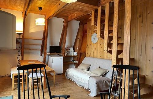 Besse-et-Saint-Anastaise Ski Chalet | Chalet montagnard avec balcon, proche piste et centre - FR-1-814-77