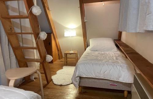 Besse-et-Saint-Anastaise Ski Chalet | Chalet montagnard avec balcon, proche piste et centre - FR-1-814-77
