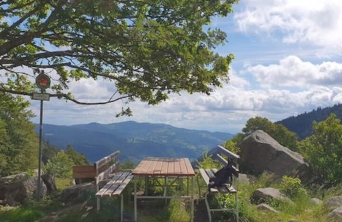 Nompatelize Ski Chalet | Chalet Vosgien en A, L'écureuil