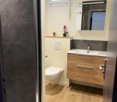 Albertville Apartment | Chaleureux T4, petit déjeuner offert, boisson rafraîchissante pour la bienvenue, repas du soir fondue, raclette sur demande