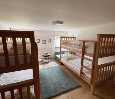 Mala Morava House | Chalupa U Franze