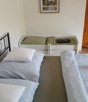 Usti nad Orlici District House | Chalupa ve Svinné