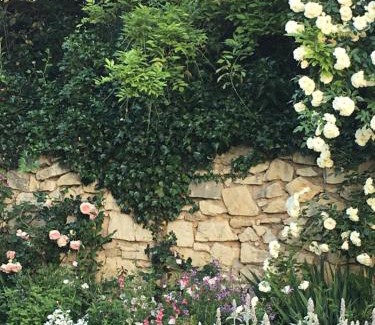 Cadereau Bed & Breakfast | Chambre côté jardin