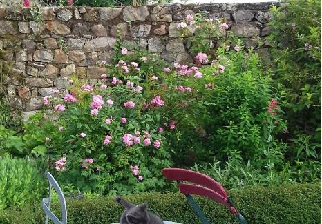 Madre Bed & Breakfast | Chambre d'hôtes de la Bigottière