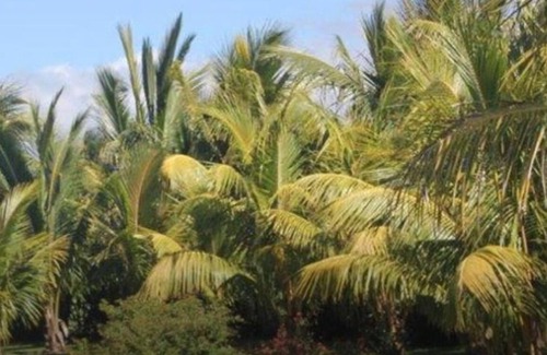 Saint-Andre Bed & Breakfast | Chambres 4 Domaine des Oiseaux