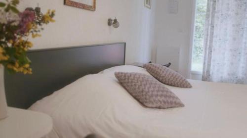 Germigny-des-Pres Bed & Breakfast | Chambres et Table d'hôtes Cerviña