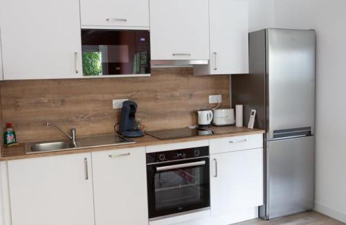 Roussillon-en-Isere Apartment | Charmant appartement T3
