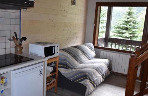 Pralognan-la-Vanoise Apartment | Charmant appart avec mezzanine, balcon sud, piscine chauffée, proche pistes et centre - FR-1-464-5