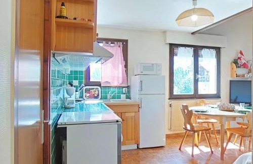Le Grand-Bornand Apartment | Charmant appart 3 pièces avec mezzanine et ascenseur, 6 pers, centre village, proche commerces, navettes - FR-1-241-138