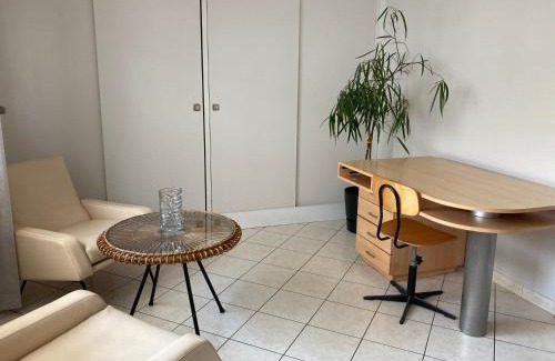 Aix-les-Bains City Center Apartment | Charmant et hypercentral
