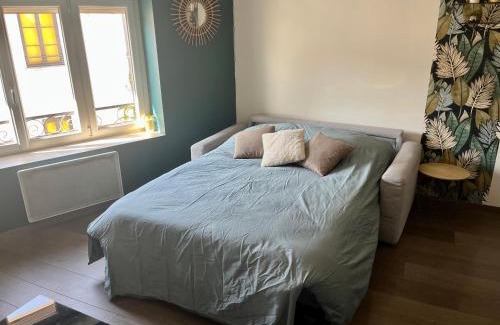 Villefranche-sur-Saone Apartment | Charmant logement Villefranche