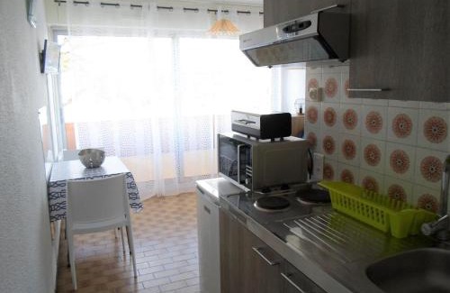 Balaruc-les-Bains Apartment | Charmant Mini-Studio Proche Thermes, Commerces Et Activités - Animaux Bienvenus! - FR-1-503-54