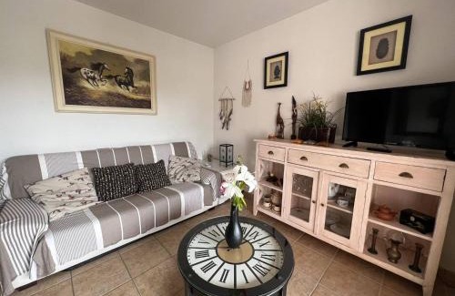 Cambo-les-Bains Apartment | Charmant T2 avec terrasse et piscine, proche des thermes à Cambo-Les-Bains - FR-1-495-59