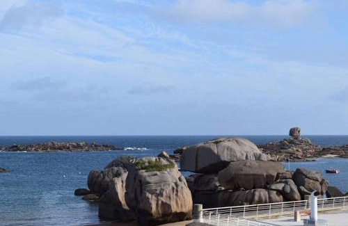 Tregastel House | Charmante maisonnette bretonne à 100m de la mer avec jardin, terrasse et proximité centre Trégastel - FR-1-368-26
