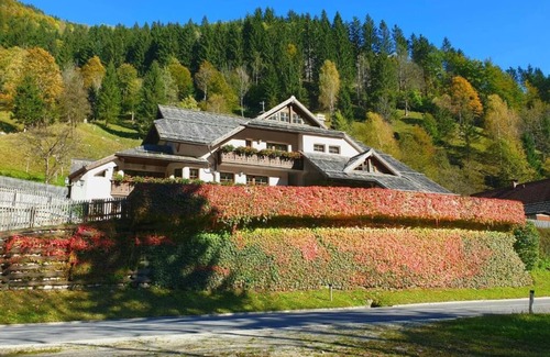 Solcava Apartment | Charming 1-bedroom apartment - Savinja