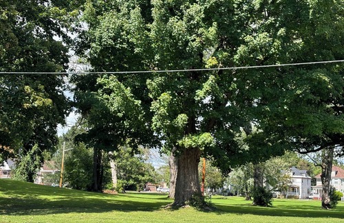 Utica Apartment | Charming 1-bedroom apartment in Utica with AC, WiFi