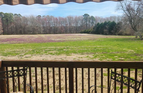 Berlin House | Charming 3-bedroom house in wonderful and fascinating Berlin, MD.