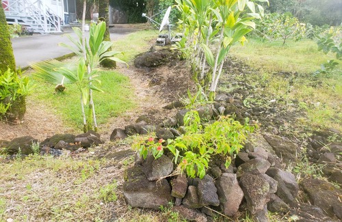 Keaau House | Charming AFrame home w/2BR, 2BA, office suite, AC, WiFi & outdoor living