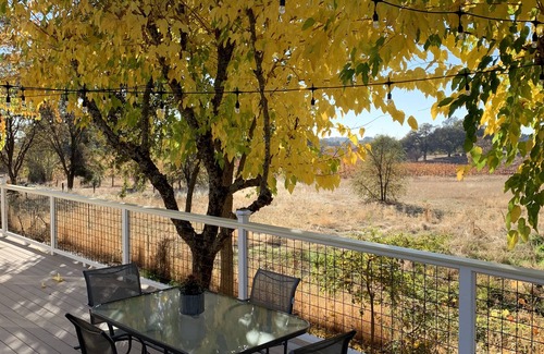 Shenandoah Valley House | Charming Amador Farmhouse! Located on the Shenandoah Valley Wine Trail.