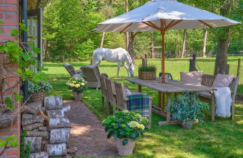 Valkenheide Cottage | CHARMING AND COMFORTABLE LODGE IN A QUIET AREA OF THE BEAUTIFUL CAPE FORESTS