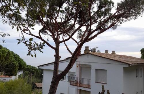 Calella de Palafrugell Apartment | Charming apartment in Calella de palafrugell