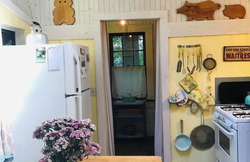 Norwich Lake Cabin | Charming Cabin Lake Rights, Private Dock 3 bedroom, 2 bath. Sleeps 7.