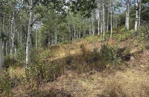 Stagecoach Estates RV Rental | Charming campground with tent in Park City for a cozy getaway