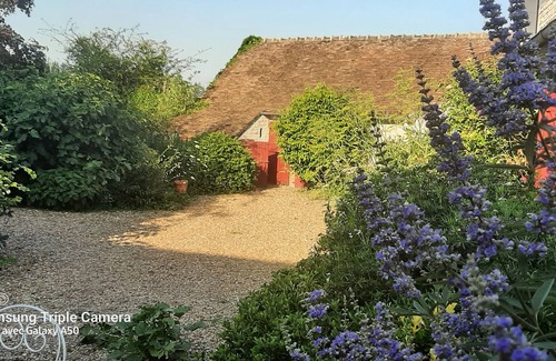 Cour-Cheverny House | Charming family cottage, 7 rooms (up to 14 Persons), near the Loire castles.