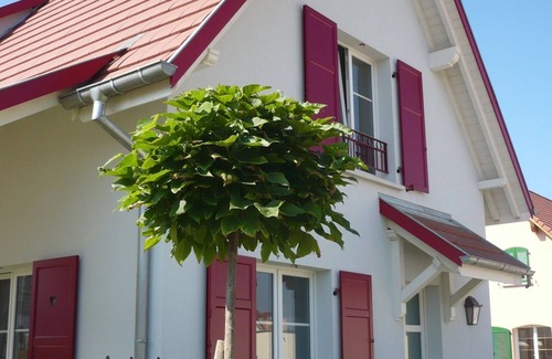 Eguisheim House | Charming house for 6 people in EGUISHEIM - Gîte HIRONDELLE
