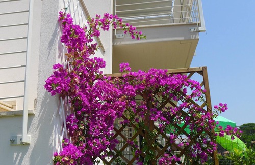 Marina di Castagneto Carducci Apartment | Charming Newly Built Two Bedroom Apartment in Marina di Castagneto