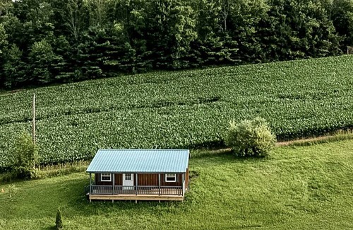 Ringtown Cabin | Charming Pet-Friendly Log Cabin Rental for Relaxing Getaways in Ringtown, Pennsylvania